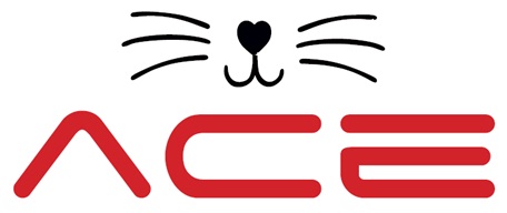 Ace Device mark 5186607 Trademark