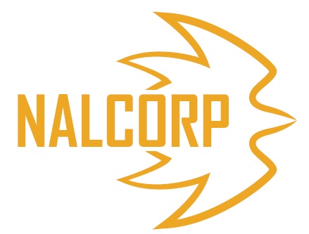 Nalcorp Device mark 5191016 Trademark