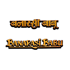 Banarasi Babu Device mark 5192457 Trademark