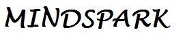 Mindspark Device mark 5195044 Trademark