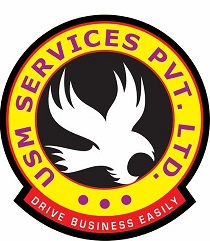 Usm Services Pvt. Ltd.: Drive Business Easily Device mark 5208233 Trademark