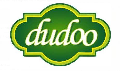 Dudoo Device mark 5211153 Trademark