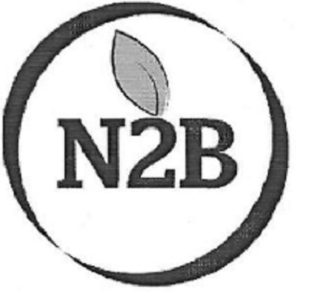 N2b Device mark 5211598 Trademark