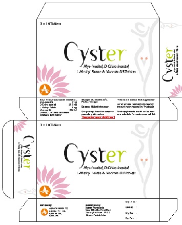 Cyster Device mark 5216148 Trademark