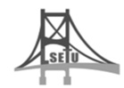 Lsetu Device mark 5234521 Trademark