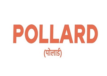 Pollard Device mark 5234924 Trademark
