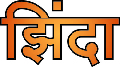 Zinda Device mark 5247022 Trademark