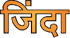 Zinda Device mark 5247023 Trademark