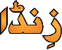 Zinda Device mark 5247032 Trademark