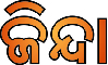 Zinda Device mark 5247031 Trademark