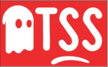 Tss Device mark 5253984 Trademark