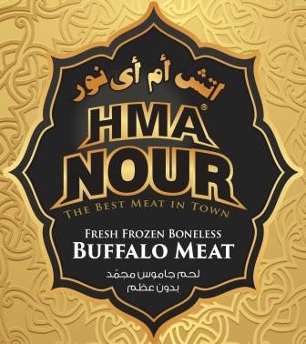 Hma Nour Device mark 5263516 Trademark