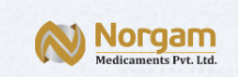 Norgam With Device Device mark 5278949 Trademark