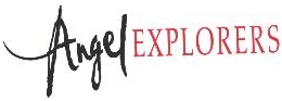 Angel Explorers Device mark 2060207 Trademark