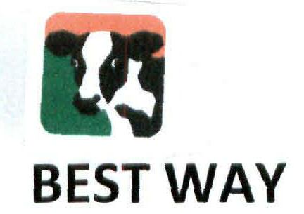 Best Way (logo) Device mark 2098736 Trademark