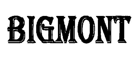 Bigmont (logo) Device mark 2153571 Trademark