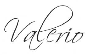 Valerio Device mark 2168997 Trademark
