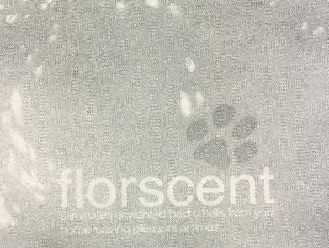 Florscent Device mark 2172649 Trademark