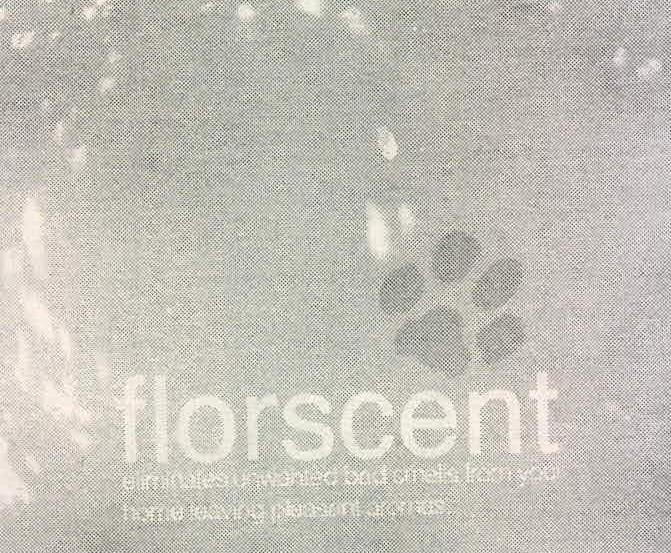 Florscent Device mark 2172653 Trademark