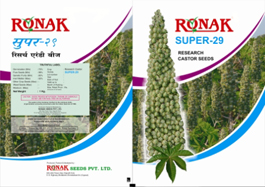 Ronak Super-29 Device mark 2182285 Trademark