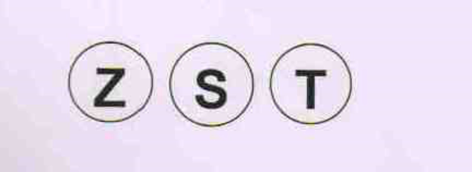 Zst Device mark 2201856 Trademark