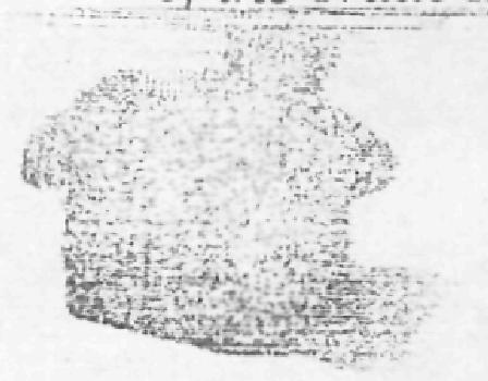 Logo Device mark 2206494 Trademark