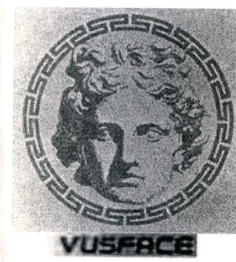 Vusface Device mark 2208721 Trademark