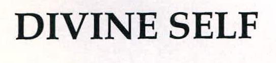 Divine Self Device mark 2248125 Trademark