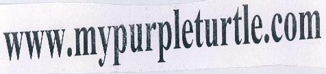 Www. Mypurpleturtle.com Device mark 2343116 Trademark