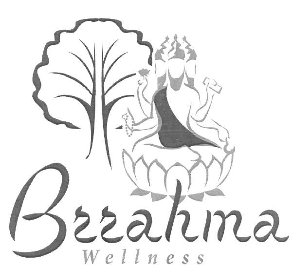 Brrahma Wellness (device) Device mark 2431445 Trademark
