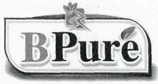 Bpure Device mark 2441919 Trademark