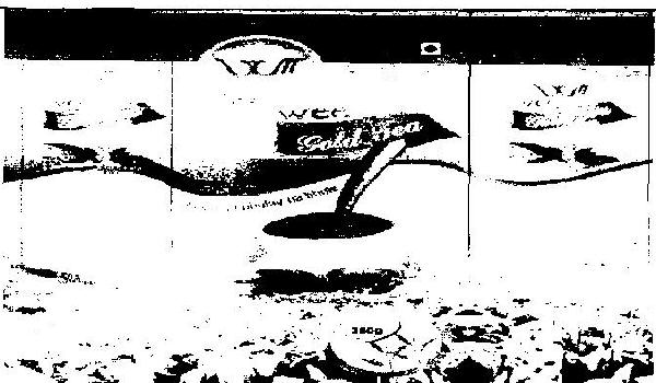 Wee Gold Tea (device) Device mark 2454607 Trademark