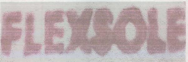 Flexsole (device) Device mark 2472503 Trademark