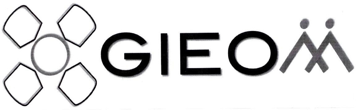 Gieom Device mark 2474909 Trademark