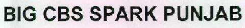 Big Cbs Spark Punjab Device mark 2495984 Trademark