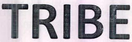 Tribe Device mark 2514195 Trademark