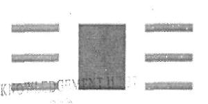 Device Device mark 2544960 Trademark