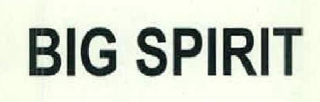 Big Spirit Device mark 2570671 Trademark