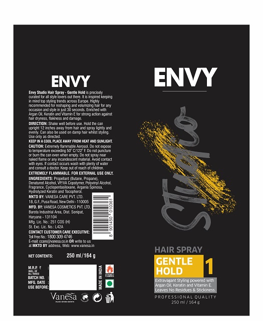 Envy Studio Device mark 5284213 Trademark