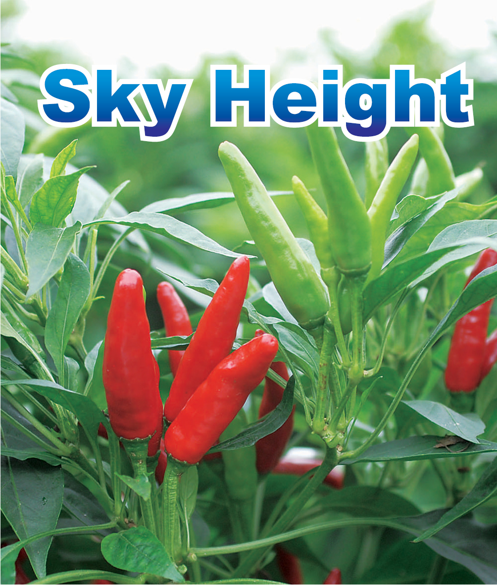 Sky Height Device mark 2577170 Trademark
