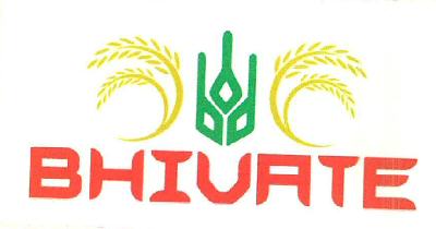 Bhivate Device mark 2633063 Trademark