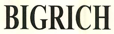 Bigrich Device mark 2636646 Trademark