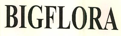 Bigflora Device mark 2636648 Trademark