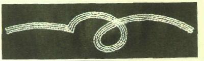 Label Device mark 2699823 Trademark