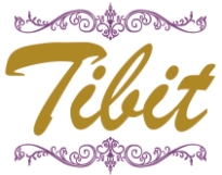 Tibit Device mark 2733082 Trademark