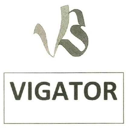 Vigator Device mark 2746475 Trademark