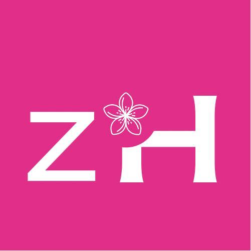 Zh Device Device mark 5287265 Trademark
