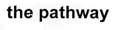 The Pathway Device mark 2798062 Trademark