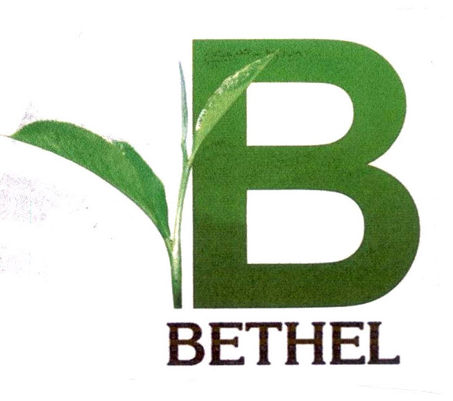 B Bethel Device mark 2824105 Trademark