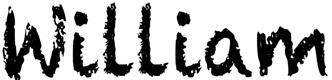 William Device mark 2878133 Trademark